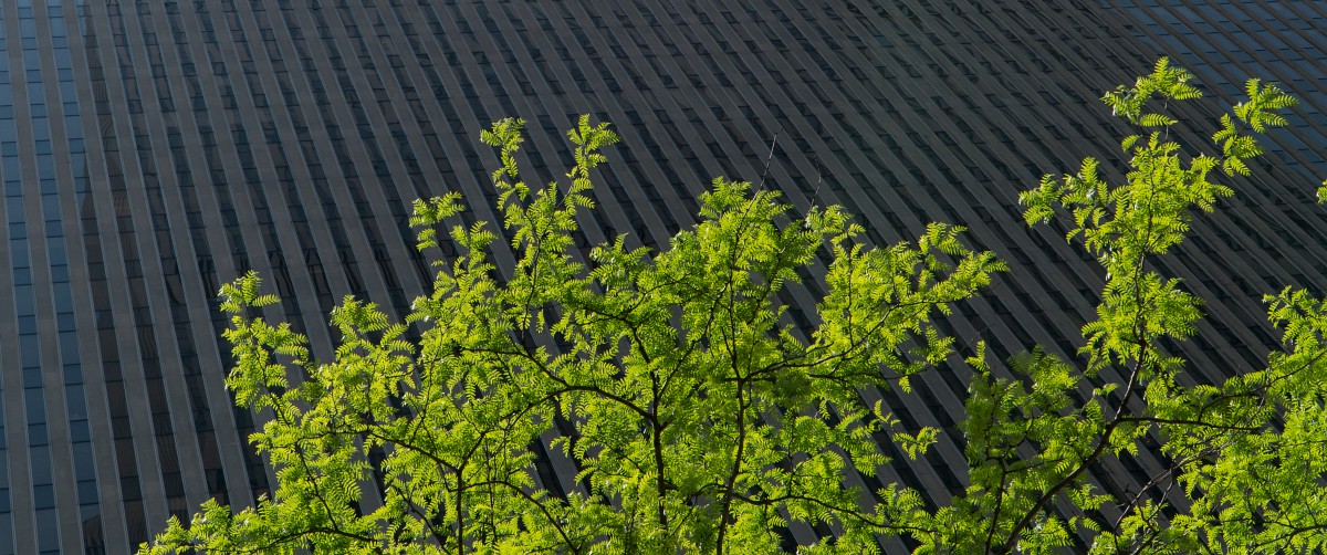 foto: [20180515PV01571]